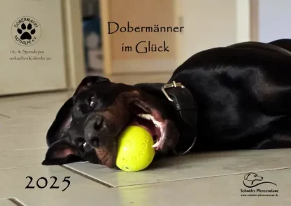 Dobermann Nothilfe Wandkalender 2025