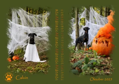 Dobermann Nothilfe Wandkalender 2025 – Bild 11